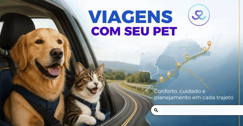 Imagem da viagem: Viagem 10/11/2026